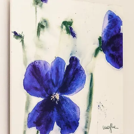 Apartament Haus Sternenlicht *