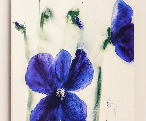 Apartman Haus Sternenlicht *